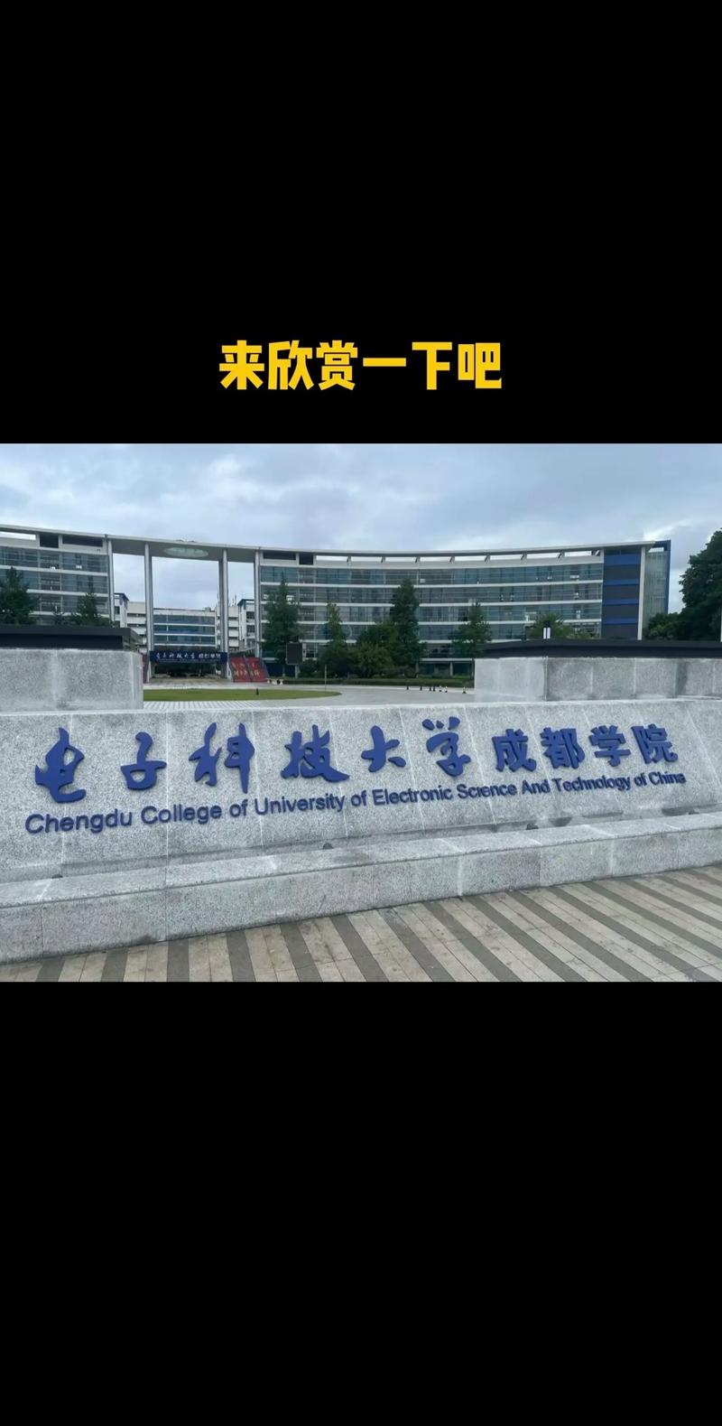 雪落成信，活力文采 電子科技大學成都學院的冬日答案